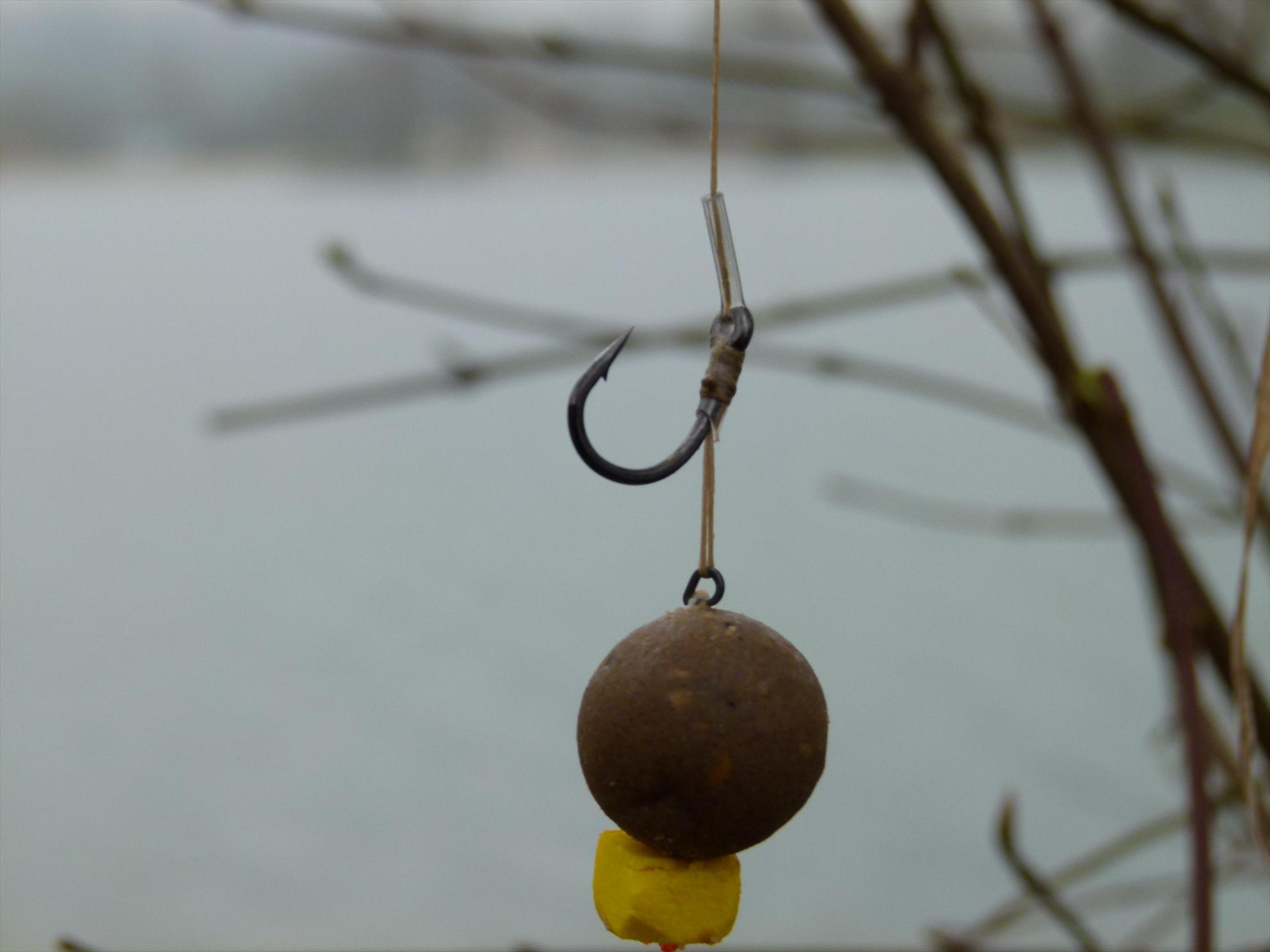 ISOLA DEL PESCATORE 16 - 17 apr. - p10302571.JPG